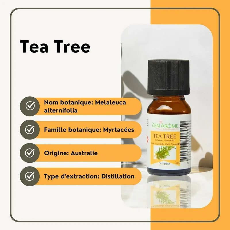 Zen'Arôme - Teebaum-Ätherisches Öl – 100 % natürlich – 10 ml