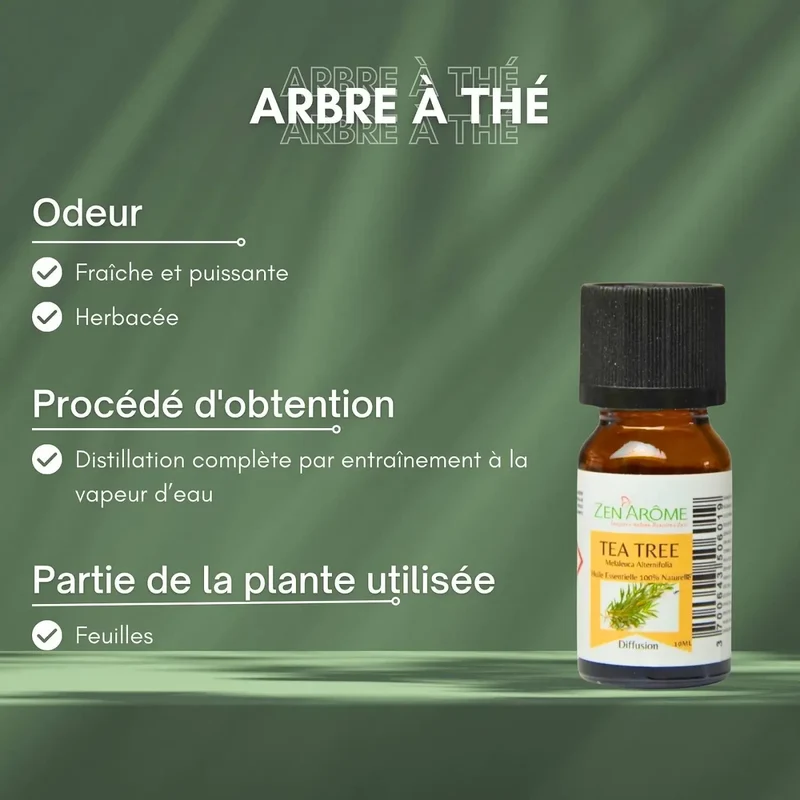 Zen'Arôme - Teebaum-Ätherisches Öl – 100 % natürlich – 10 ml