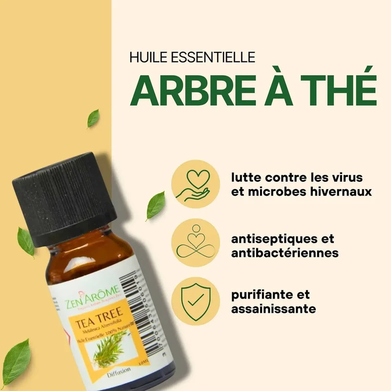 Zen'Arôme - Teebaum-Ätherisches Öl – 100 % natürlich – 10 ml