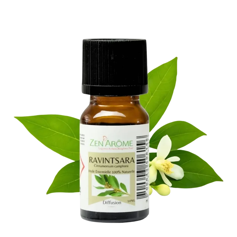 Zen'Arôme - Ravintsara ätherisches Öl – 100 % natürlich – 10 ml