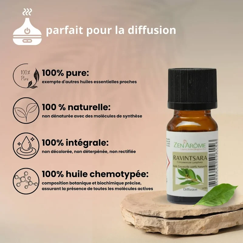 Zen'Arôme - Ravintsara ätherisches Öl – 100 % natürlich – 10 ml
