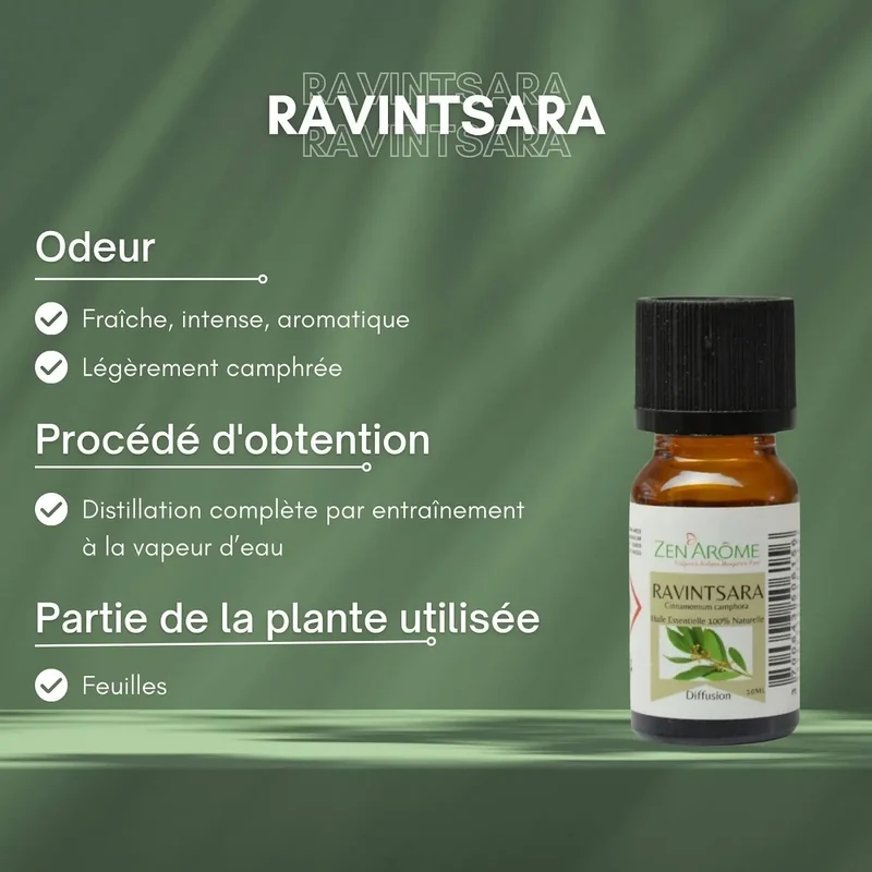 Zen'Arôme - Ravintsara ätherisches Öl – 100 % natürlich – 10 ml