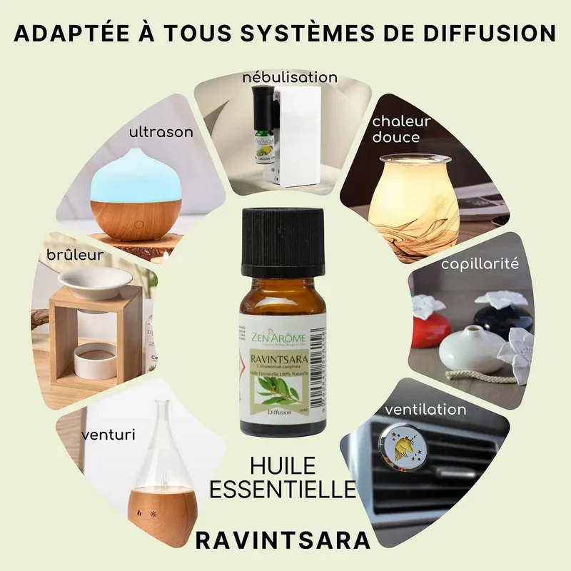 Zen'Arôme - Ravintsara ätherisches Öl – 100 % natürlich – 10 ml