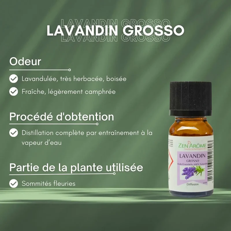 Zen'Arôme - Lavandin Grosso Ätherisches Öl – 100 % natürlich – 10 ml