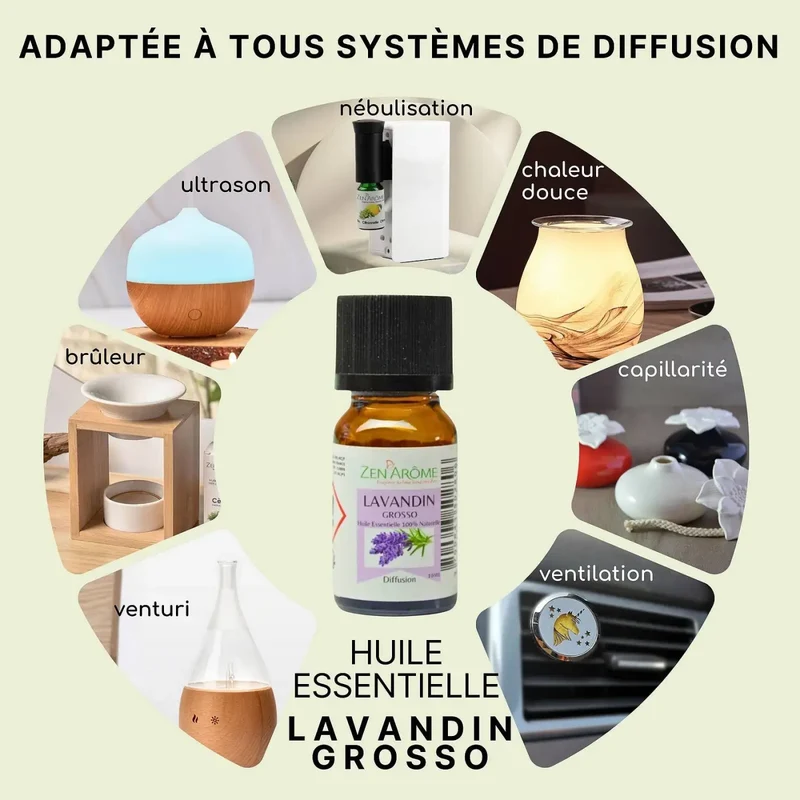 Zen'Arôme - Lavandin Grosso Ätherisches Öl – 100 % natürlich – 10 ml