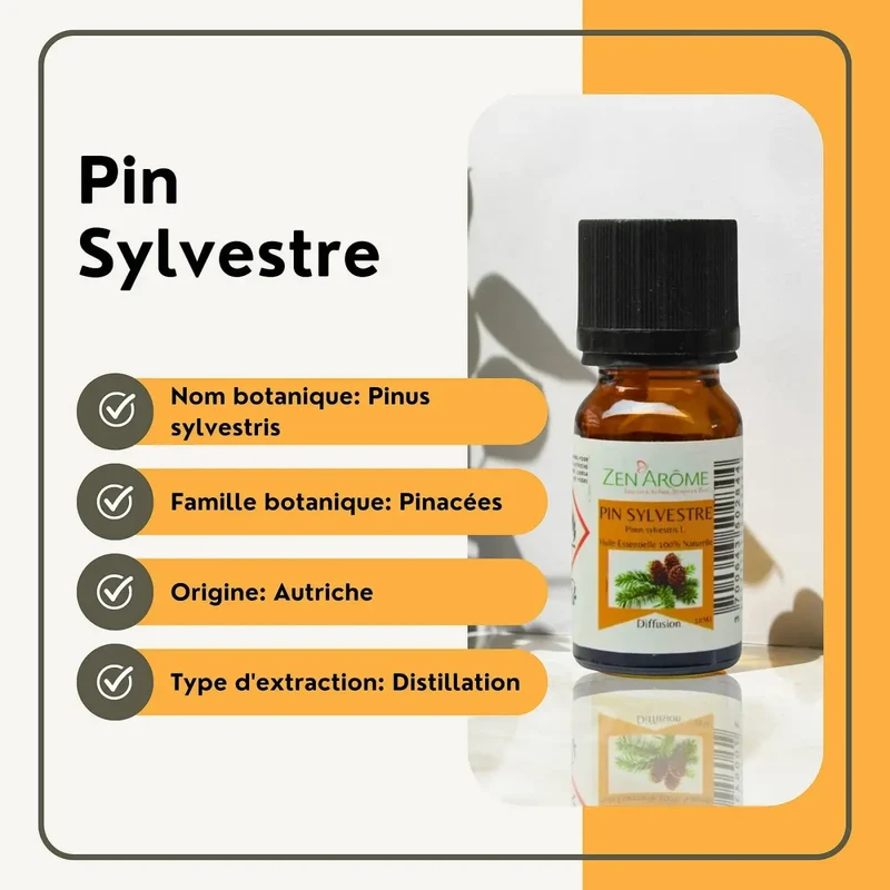 Zen'Arôme - Kiefern-Ätherisches Öl – 100 % natürlich – 10 ml