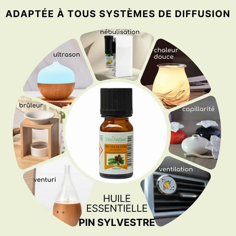 Zen'Arôme - Kiefern-Ätherisches Öl – 100 % natürlich – 10 ml