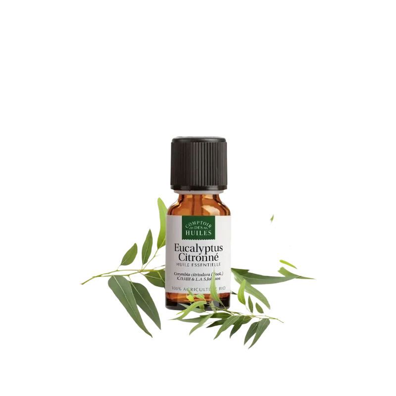 Comptoir des Huiles Zitronen-Eukalyptus Bio – ätherisches Öl, 10 ml