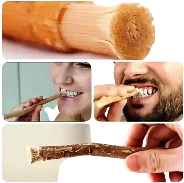 Miswak Zahnpflegeholz