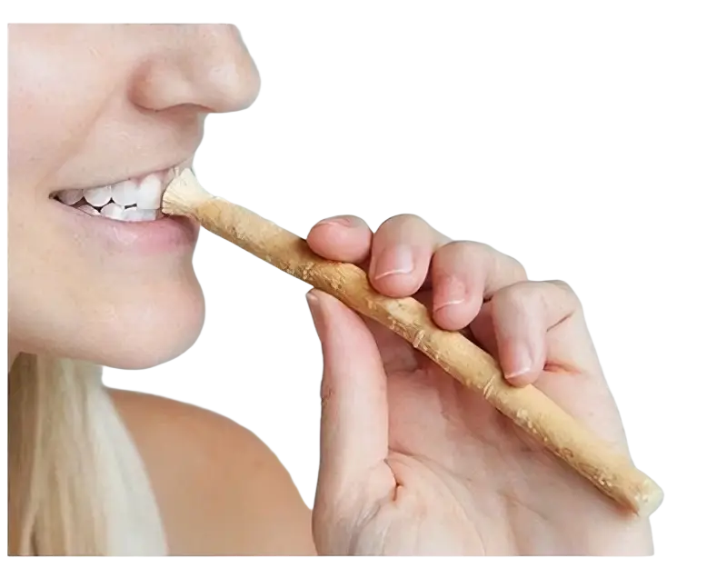 Miswak Zahnpflegeholz