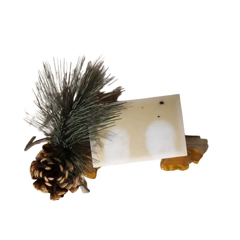 Mademoiselle Agathe - Bio-Seife Waldfichte – sanft und beruhigend