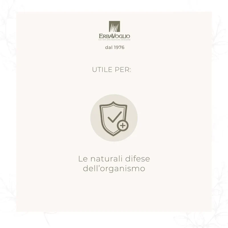 Pollinair Tropfen 50ml