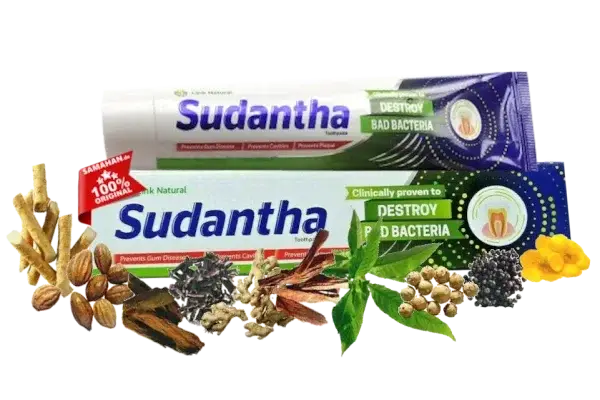 Ayurvedische Sudantha Zahnpasta