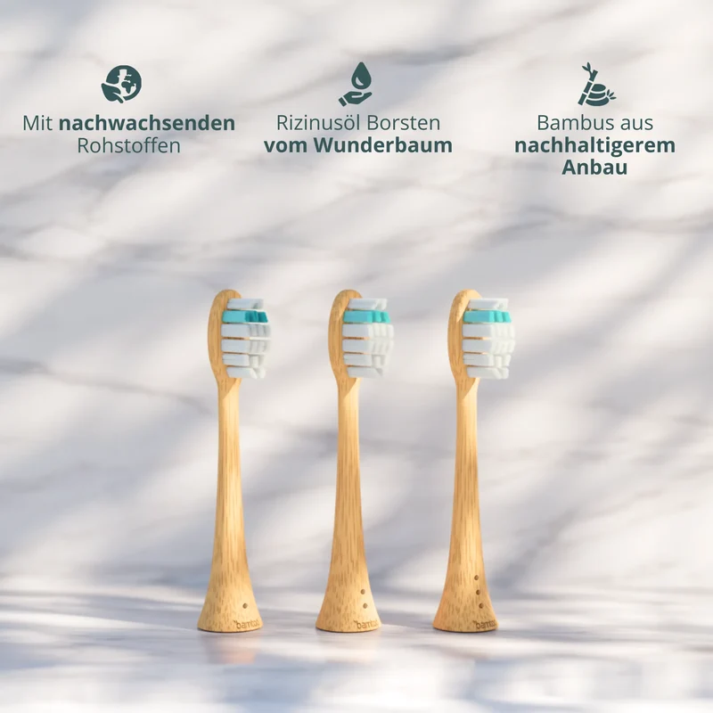 Bambus Bürstenkopf Pro 3D