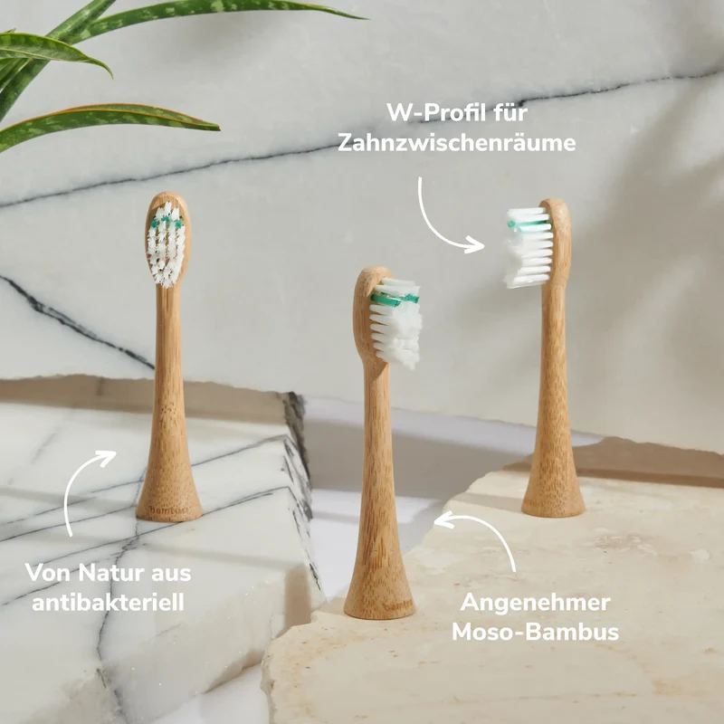 Bambus Bürstenkopf Mittel